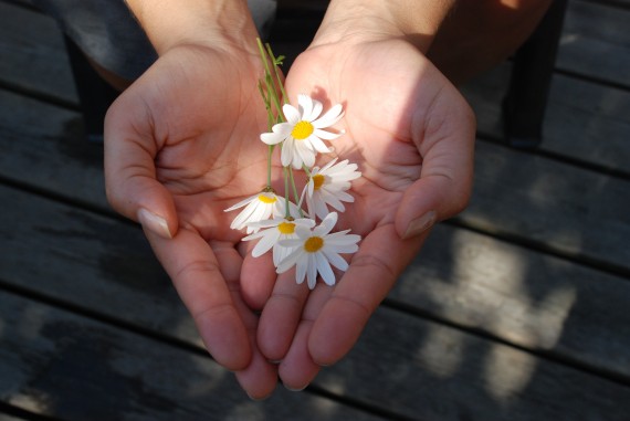 flower-22656.jpg
